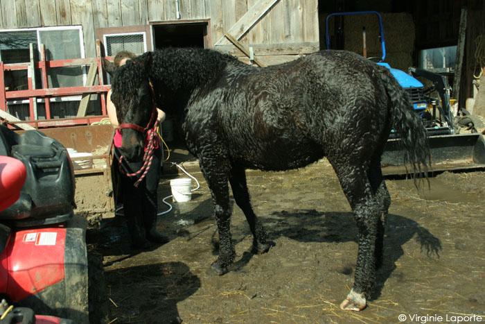 et Mister après la douche !