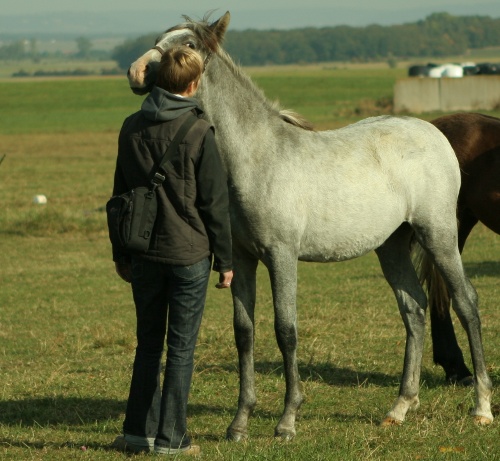 rencontre