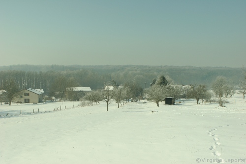 paysage-enneige