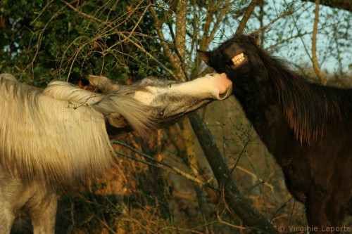 jeux-de-bouche-3